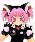 miau!!!! zoey's album