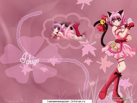 .. zoey's album
